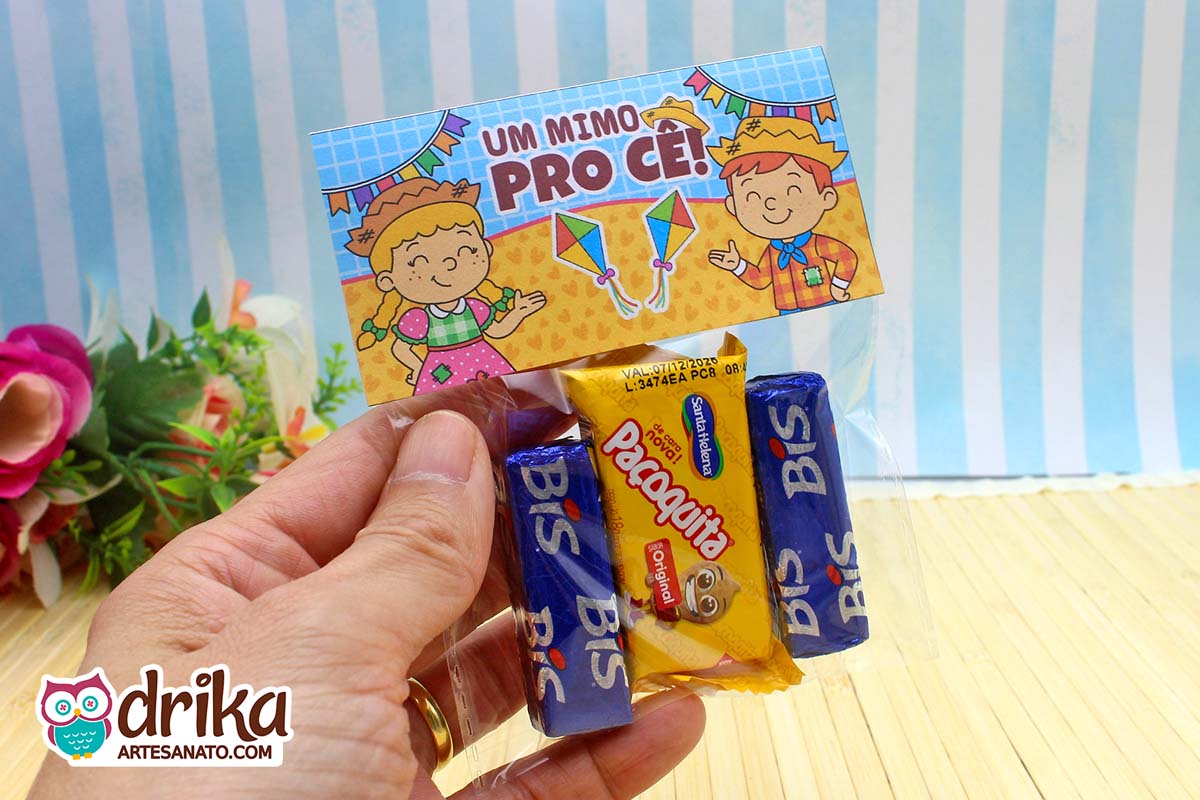 Lapela para Saquinho: 5 Modelos